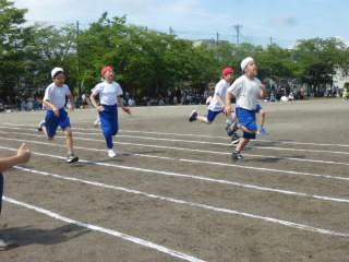 P1180925.jpg