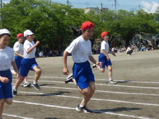 P1180947.jpg