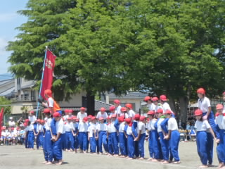 P1180980.jpg