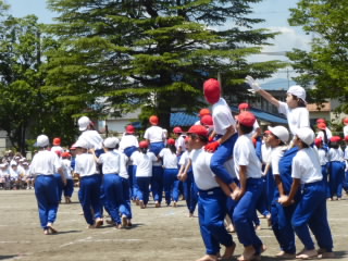 P1180984.jpg