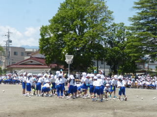 P1190045.jpg
