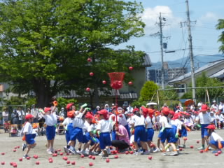 P1190048.jpg