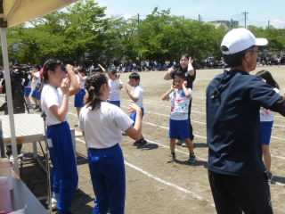 P1190082.jpg
