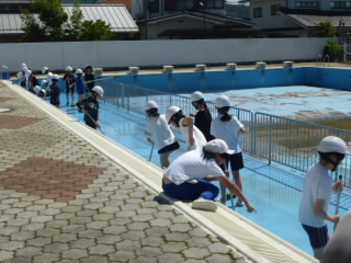 P1190152.jpg