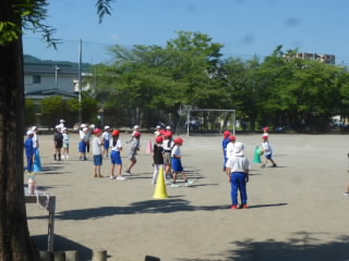P1190207.jpg