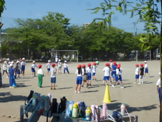 P1190208.jpg