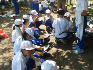 P1190240.jpg