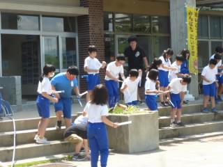 P1190278.jpg