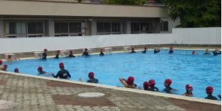 P1190479.jpg