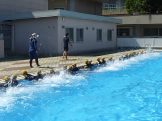 P1190731.jpg