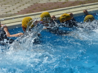P1190733.jpg