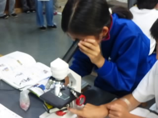 P1190761.jpg