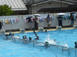 P1190774.jpg