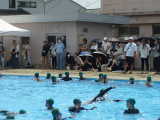 P1190775.jpg