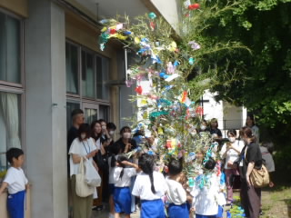 P1200086.jpg