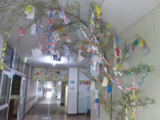 P1200151.jpg