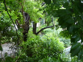 P1200160.jpg