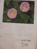 P1200221.jpg