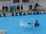 P1200335.jpg