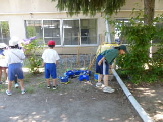 P1200418.jpg