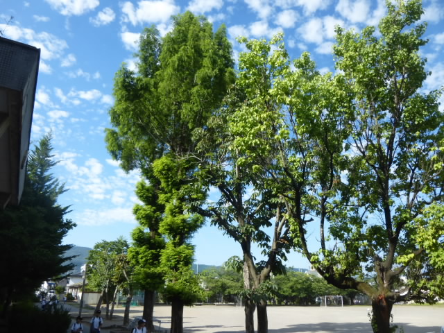 P1200941.jpg