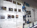 P1210272.jpg