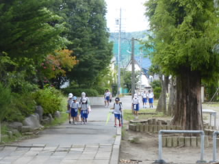 P1210341.jpg