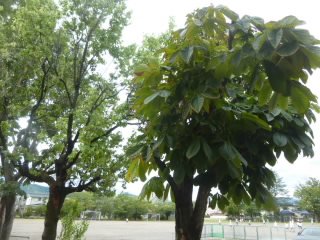 P1210346.jpg