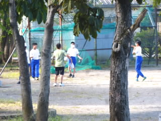 P1210530.jpg
