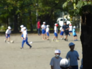 P1210719.jpg
