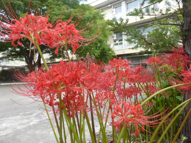 P1220040.jpg