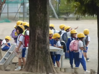 P1220117.jpg