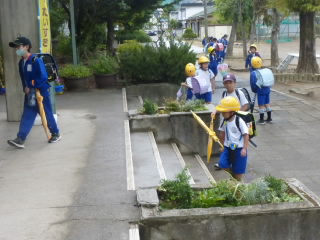 P1220128.jpg