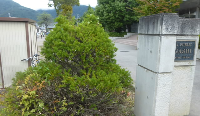 P1220174.jpg