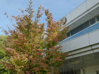 P1220731.jpg