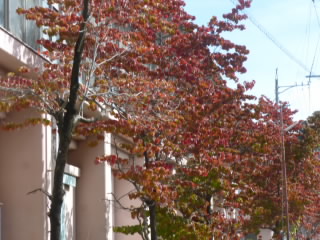 P1220732.jpg