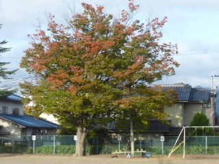 P1220793.jpg