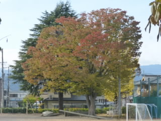 P1230091.jpg