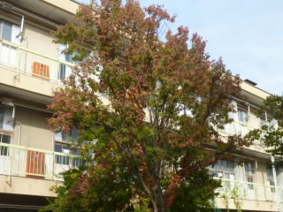 P1230092.jpg