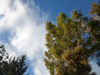 P1230103.jpg