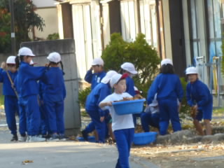 P1230238.jpg
