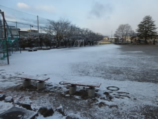 P1240273.jpg