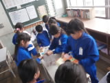 P8250008.jpg