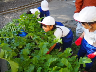 PB080034.jpg