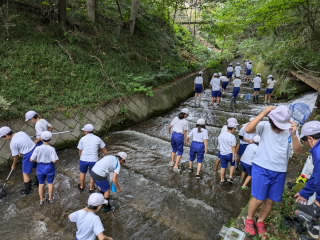 PXL_20240927_020545705.jpg