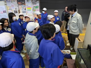 PXL_20241129_060504816.MP.jpg