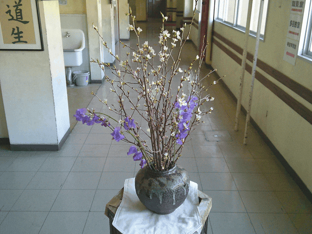 ホームページTOP用 (640 x 480 px).gif