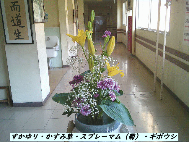 20250526top.gif