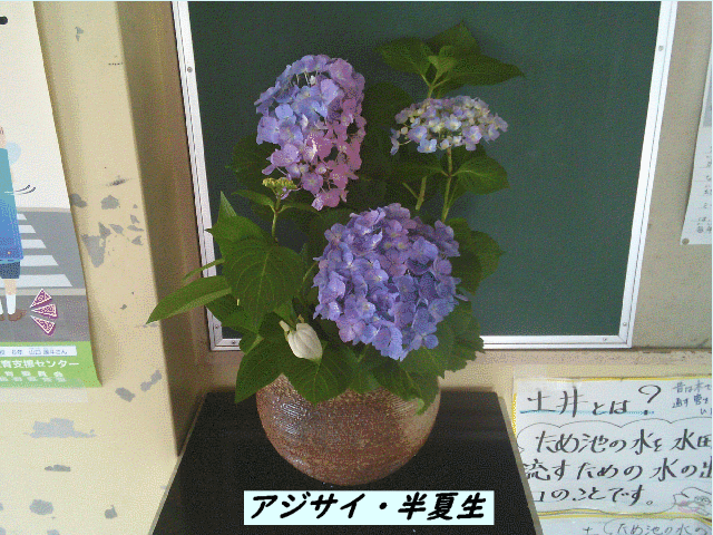 20250701top.gif