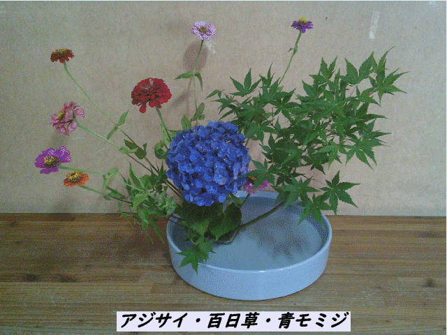 20250723top.gif